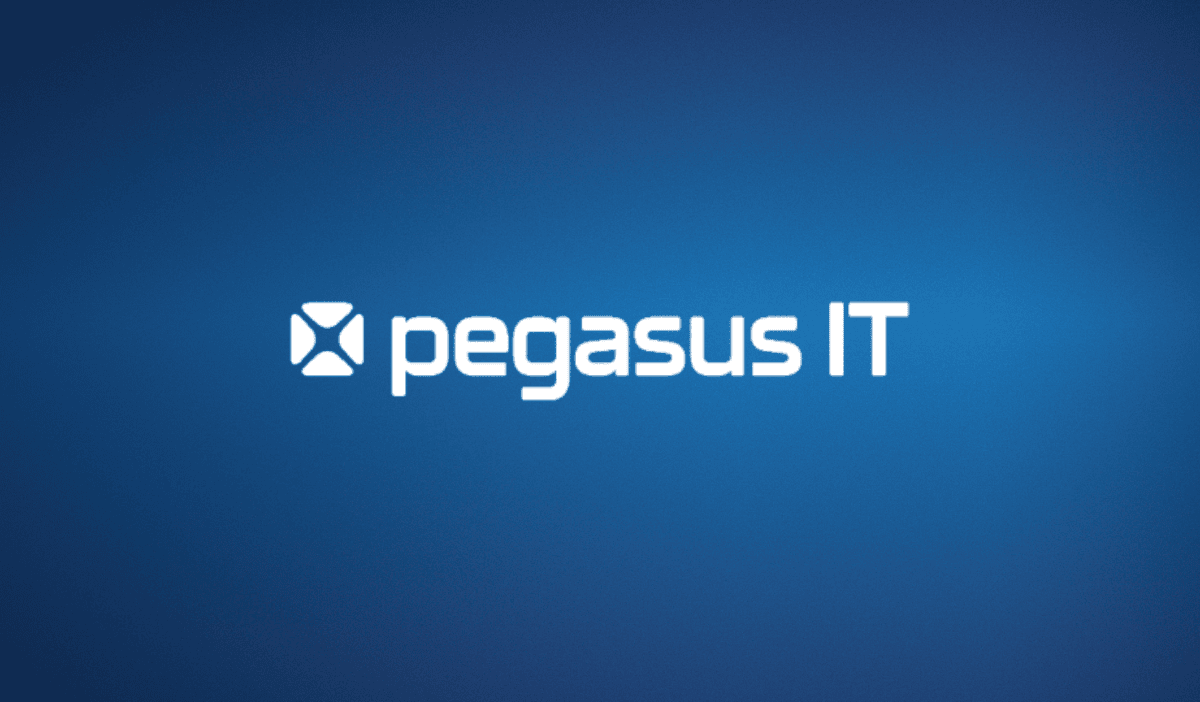 Pegasus IT's Success Story with OpenNebula