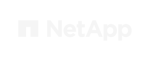 Home Page 25 logo netapp 500x204 1