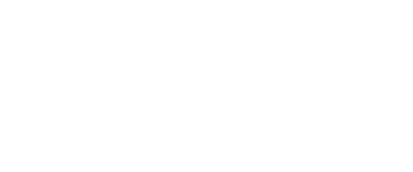 Iguane Solutions logo