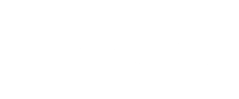 Netapp logo