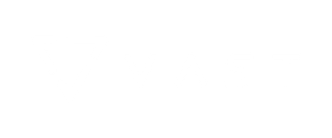 Vast Data