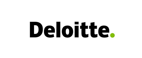 Users 17 deloitte