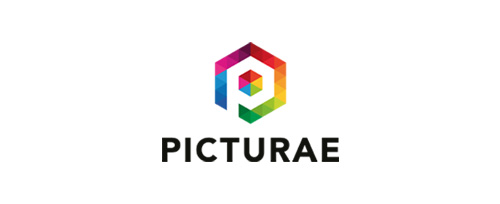 Users 85 Picturae logo OpenNebula Users