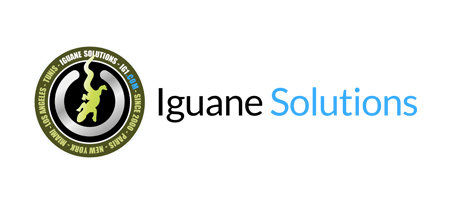 Find a partner 26 Iguane solutions logo