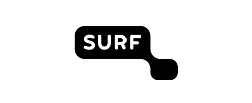 Users 200 surf logo